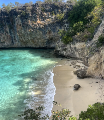 Little Bay From Above