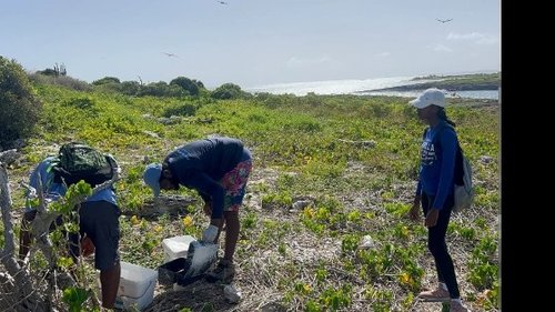 Researchers and Volunteers Restocking Bait at a Checkpoint