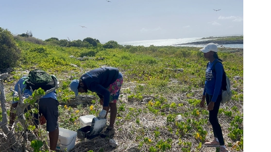 researchers restocking bait