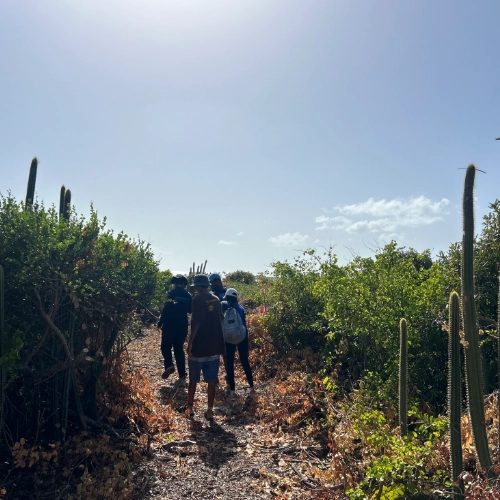 Researchers begin their journey inwards